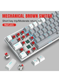Rock Pow ROCK POW 60% Wired Mechanical Gaming Keyboard 63 keys Ice Blue Backlit Ultra-Compact Mini Keyboard Mini Compact Keyboard for PC/Mac Gamer Typist Easy Carry on Trip Red Switch  - Image 3