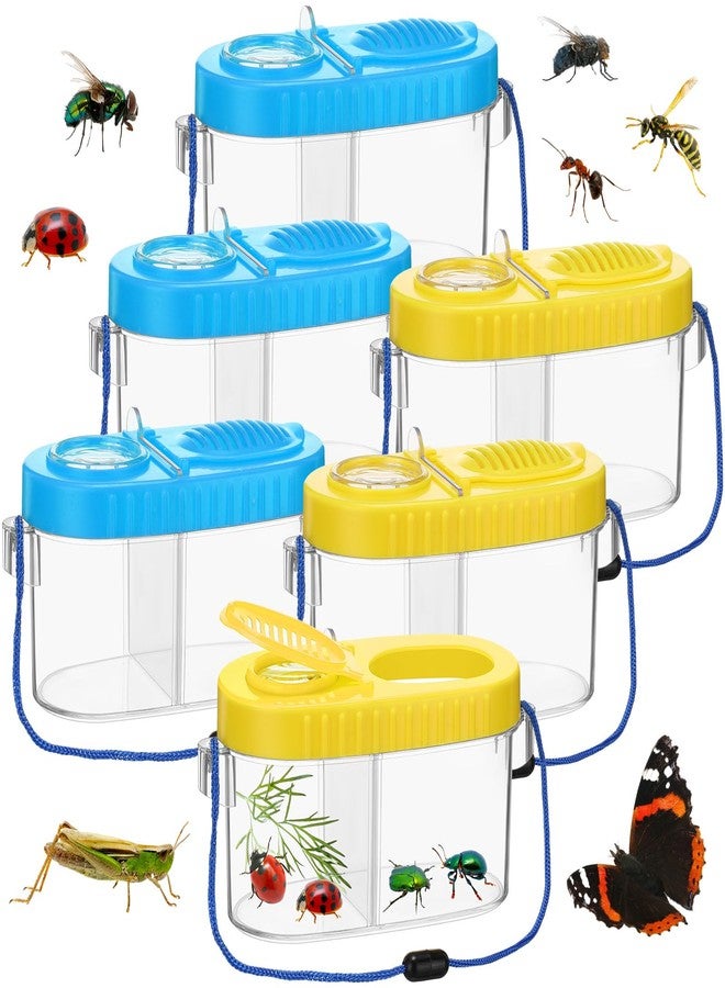 WinnerWhy 6 Pack Bug Catcher Kit for Kids Bulk Insect Collection Cage Bug Habitat Viewer Magnifying Glass Catching Box Container Explorer Outdoor Nature Gift for Kid Boys Girls(Yellow，Blue) - Image 1