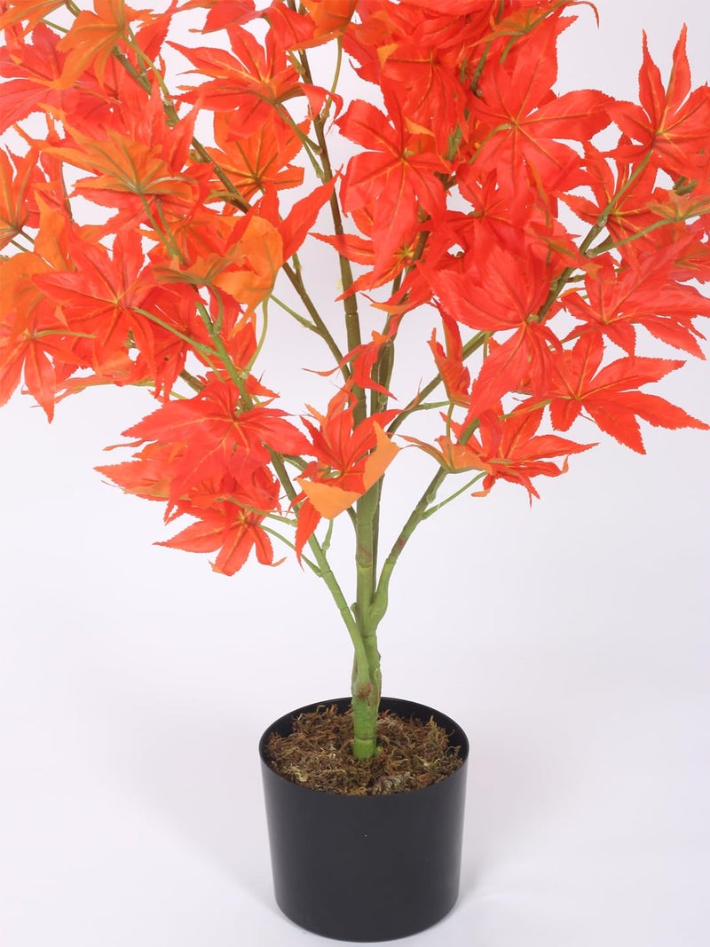 Home Bloom Home Bloom Artificial Real Touch Japanese Maple Faux Plant for Indoor Home Dcor with Pot 80 cm Tall Orange with Pot  - Image 3