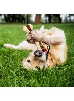 Bones Shaped Dog Toys For Aggressive Chewers, 2 Pack Dog Chew Toys Nylon Beef Flavor Dog Teething Toys For Large/Medium/Small Puppies Breeds(Medium, Curved Bone) - pzsku/ZED2A0078A5370B3E98AEZ/45/_/1734347185/17d7f79e-ed5a-4231-a00c-19402353d6c3