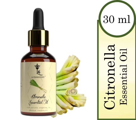 LA'BANGERRY LABANGERRY Citronella Essential OilHealthy Hair Hair Growth Oily Skin Acne Dry Frizzy Hair 100 Pure Natural Undiluted Premium Oil 30 ml  - Image 4