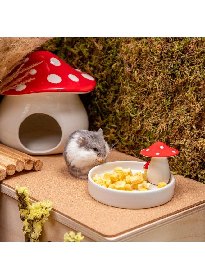 Niteangel Hamster Snack & Treats Toy - Small Animal Natural Treat for Dwarf Syrian Robo Hamsters Gerbils Mice Degus or Other Small-Sized Pets (Freeze-Dried Pumpkin - 0.5oz (15g)) - Image 3