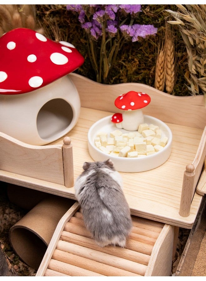 Niteangel Hamster Snack & Treats Toy - Small Animal Natural Treat for Dwarf Syrian Robo Hamsters Gerbils Mice Degus or Other Small-Sized Pets (Freeze-Dried Pumpkin - 0.5oz (15g)) - Image 5