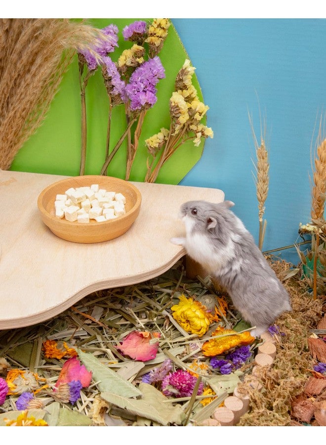 Niteangel Hamster Snack & Treats Toy - Small Animal Natural Treat for Dwarf Syrian Robo Hamsters Gerbils Mice Degus or Other Small-Sized Pets (Freeze-Dried Pumpkin - 0.5oz (15g)) - Image 4