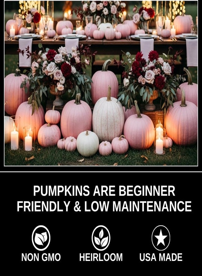 CZ Grain 10 Warty White Specter Pumpkin Seeds for Planting - Pure White with Subtle Warts - Rare, Elegant Variety for Unique Fall Décor, Halloween Displays & Garden Harvests - Image 3