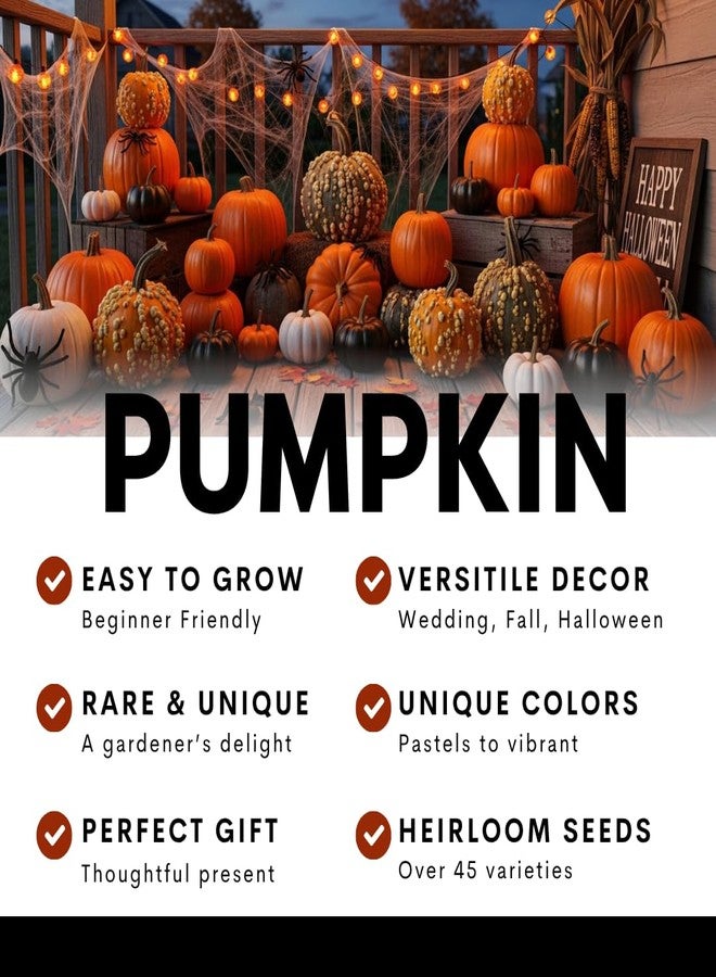 CZ Grain 10 Warty White Specter Pumpkin Seeds for Planting - Pure White with Subtle Warts - Rare, Elegant Variety for Unique Fall Décor, Halloween Displays & Garden Harvests - Image 4
