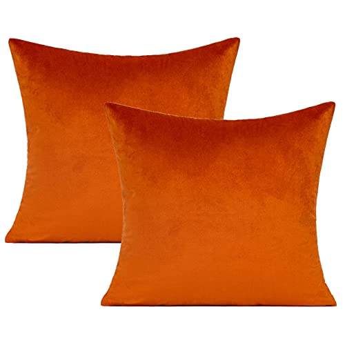 VAKADO Burnt Orange Fall Throw Pillow Covers 18x18 Decorative Outdoor Thanksgiving Autumn Couch Rust Velvet Decor Cushion Cases Home Decoration for Porch Patio Sofa Bedroom Car Set of 2 - Image 1