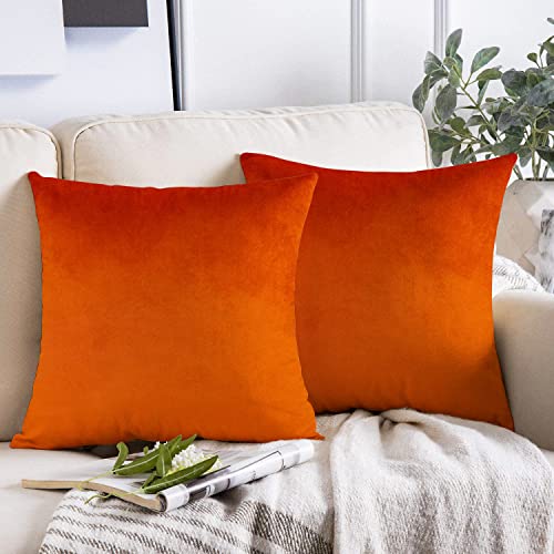 VAKADO Burnt Orange Fall Throw Pillow Covers 18x18 Decorative Outdoor Thanksgiving Autumn Couch Rust Velvet Decor Cushion Cases Home Decoration for Porch Patio Sofa Bedroom Car Set of 2 - Image 3