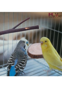 MissTiara 8 PCS Natural Wood Bird Perch Stand-Wooden Parrot Perch Stand-Perch Platform Cage Accessories for Parrotlets Budgies Cockatiels Parakeets Lovebirds  - Image 4