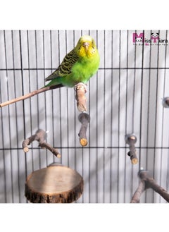 MissTiara 8 PCS Natural Wood Bird Perch Stand-Wooden Parrot Perch Stand-Perch Platform Cage Accessories for Parrotlets Budgies Cockatiels Parakeets Lovebirds  - Image 5