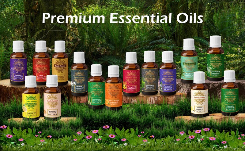 Exotic Aromas Essential Oil Pack of 15 Lavender Rose Sandalwood Jasmine Orange Rosemary Lemongrass Ylang Ylang Tea Tree Peppermint Eucalyptus Lemon Frankincense Vanilla Citronella - Image 2