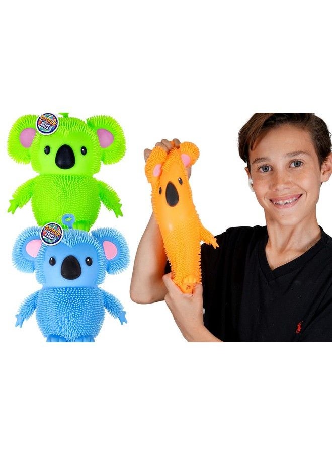 Ja-Ru - Koala Bear Pets Stretchy Squishy Fidget Toy (2 Koalas Assorted) Stress Relief Bedtime Buddies With Hair Tentacles Like Noodles. Party Favor Birthday Decorations Bouncy Toy For Kids & Adults 6710 2S - Image 1