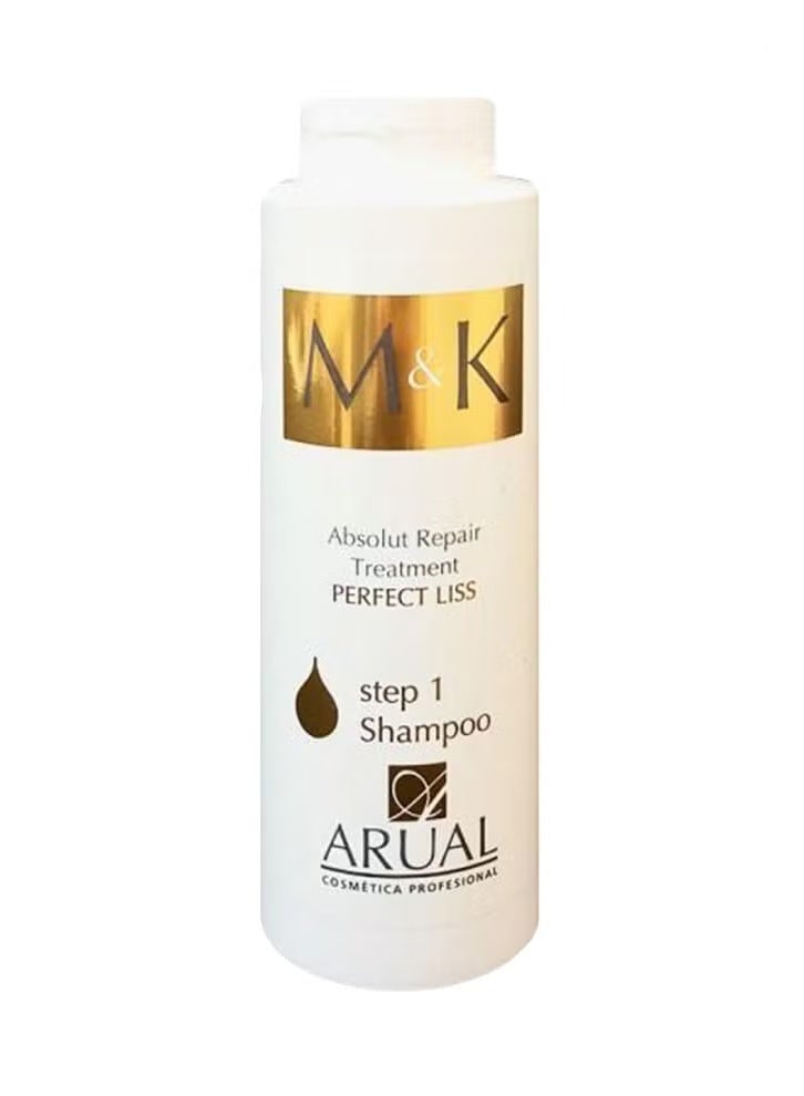 Absolute Perfect Liss Hair Treatment & Repair Shampoo 400ml