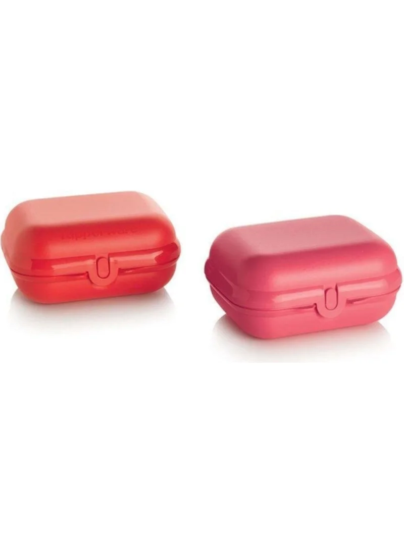 Tupperware Oyster Red Pink Set of 2 Lunch Box