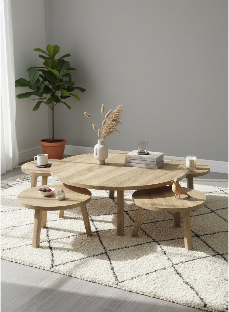 Living Floor Table Set (1 Large + 4 Small) – Perfect for Living Rooms & Salons - Image 1