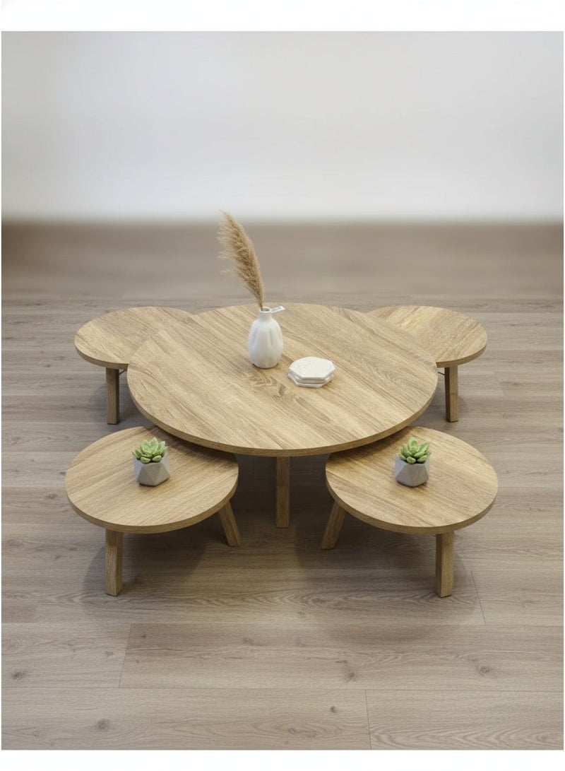 Living Floor Table Set (1 Large + 4 Small) – Perfect for Living Rooms & Salons - Image 3