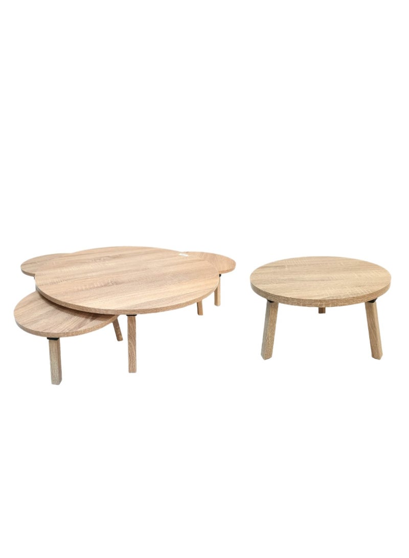 Living Floor Table Set (1 Large + 4 Small) – Perfect for Living Rooms & Salons - Image 5