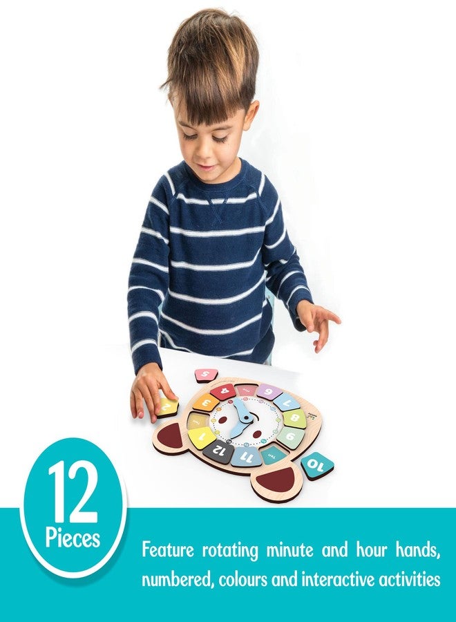 Webby Bear Colors Clock | Early Learning Toy | Time Learning | Educational Learning Clock Toy - Wooden Clock | Lovely Shapes - Cognitive Toy for Kids - Image 4