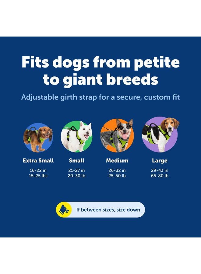 PetSafe EasySport Dog Harness - Padded, Adjustable Dog Harness with Control Handle and Reflective Piping - Great for Active Dogs - from The Makers of The Easy Walk Harness - Medium, Charcoal - Image 5