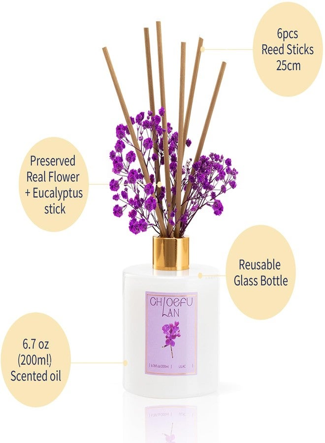 Chloefu LAN معطر جو كلويفو لان برائحة الليلك، 6.7 أونصة من الزيت العطري الطبيعي مع أعواد التوزيع، مثالي لتزيين الحمام، غرفة المعيشة، المنزل والمكتب، طقم هدايا زيت معطر جو للعلاج بالروائح - Image 2