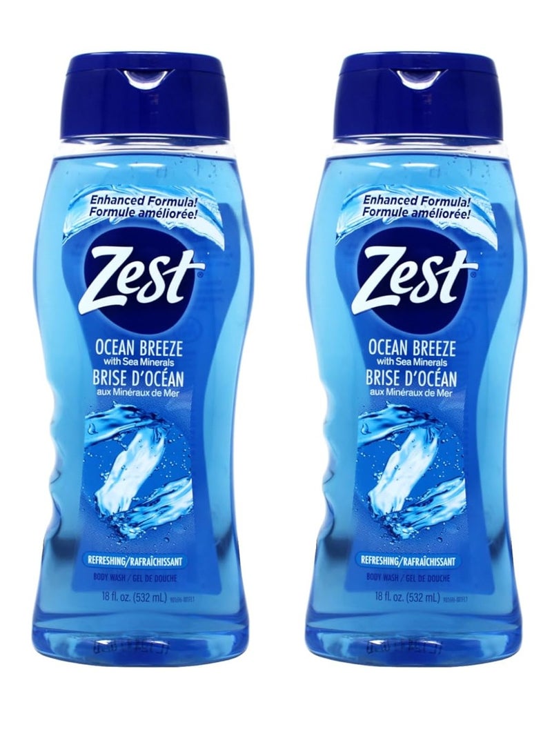 Zest Body Wash Ocean Breeze with Sea Minerals Refresh 18 Ounce (Pack of 2) - pzsku/ZED37E98BC512C493E9B4Z/45/_/1740450764/855a5de1-fd30-47cf-b85a-b94e0859b911