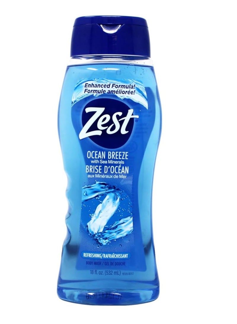 Zest Body Wash Ocean Breeze with Sea Minerals Refresh 18 Ounce (Pack of 2) - pzsku/ZED37E98BC512C493E9B4Z/45/_/1740450774/5e7193c3-2bfe-4d90-8da4-fecb642c1c96