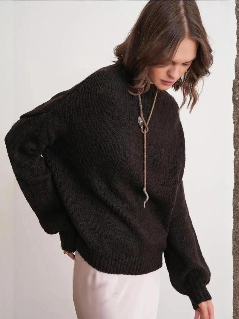MixRay Coffee Brown Mixray Relaxed Fit Crew Neck Thick Knit Sweater for Women | Best Price UAE
