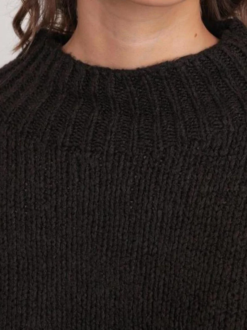 MixRay Coffee Brown Mixray Relaxed Fit Crew Neck Thick Knit Sweater for Women | Best Price UAE