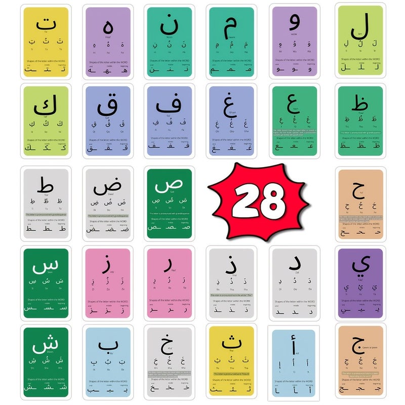 28 Arabic Letter Cards Educational Flashcards With Letter Markers Pronunciation Guides Interactive Writing On Back Suitable For Arabic Language Beginners Office Decoration Culturally Enriching Ramadan Cards 28pcs - Image 5