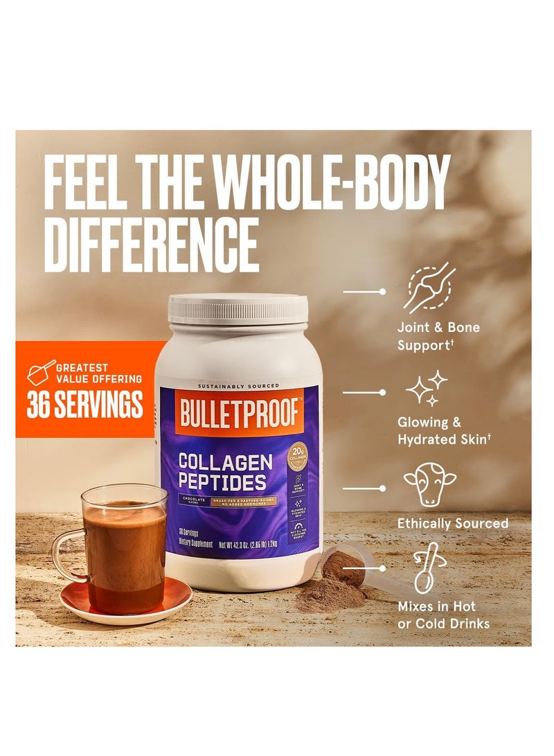 Bulletproof Chocolate Collagen Protein Powder with MCT Oil, 19g Protein, 42.3 Oz - Image 3