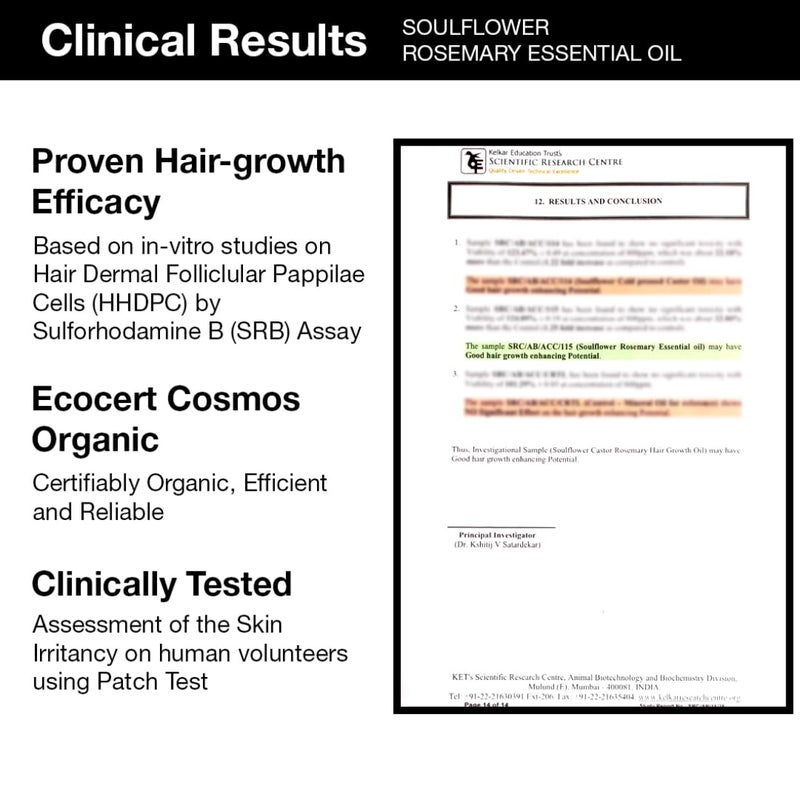 Soulflower Soulflower Rosemary Essential Oil for Hair Growth Nourishment Thick Strong Hair Moisturising Skin Clinically Tested Ecocert Certified Organic 100 Pure Natural Pack of 2 15ml Each - Image 5