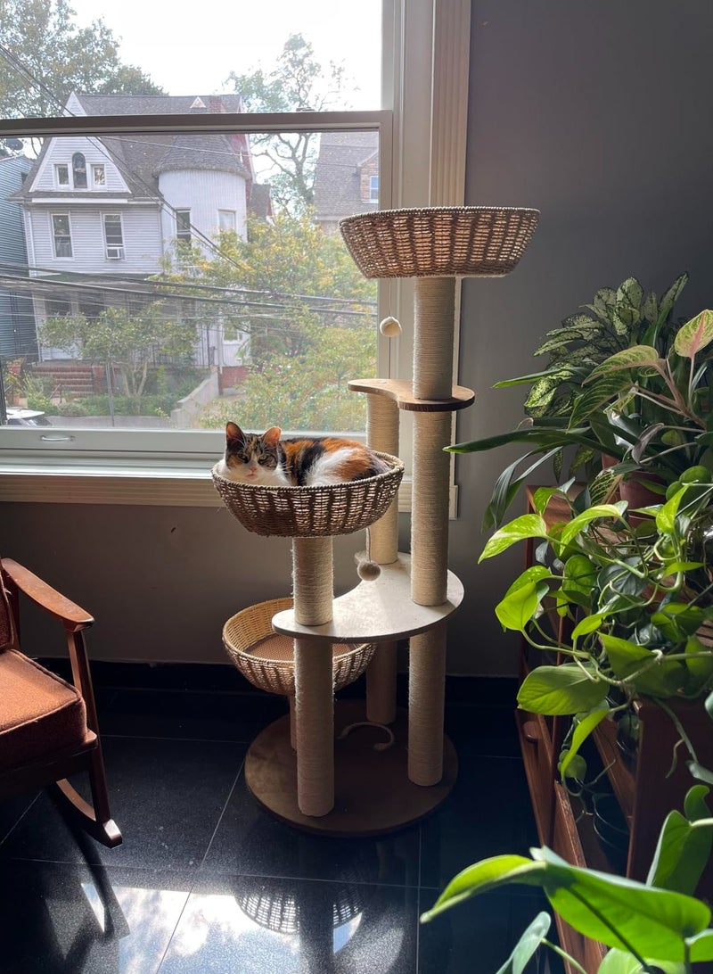 MissTiara Modern Cat Tree Tower for Indoor Cats  Solid Oak Cat Scratching Tree for Multiple Large Cats Manual Hand Woven Luxury Cat Condo, Unique High-end Design Cat Furniture Activity Centre, Easy Clean - Image 3