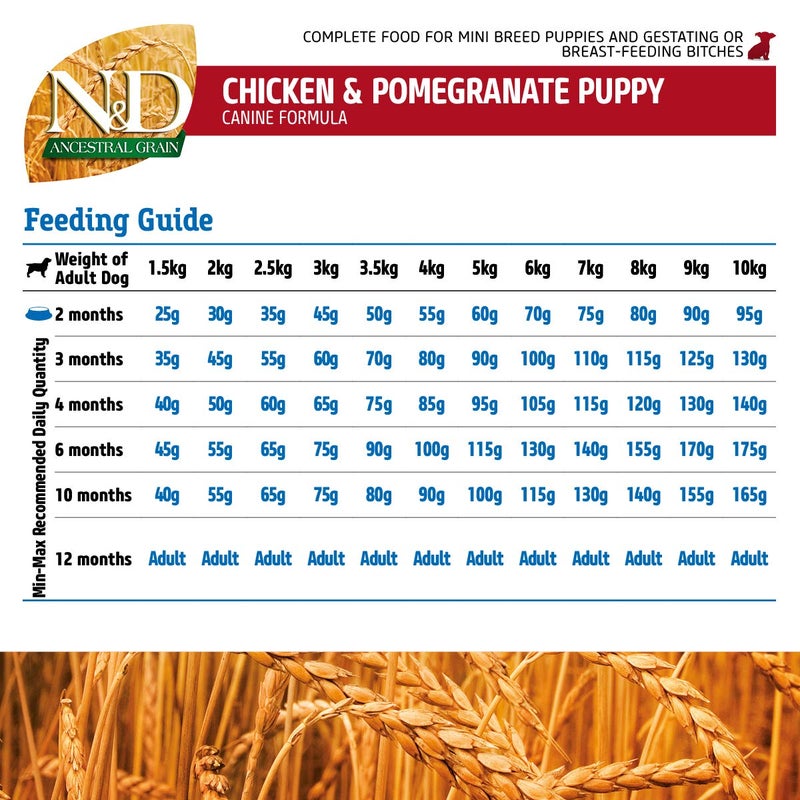 Farmina N&D Ancestral Grain Puppy Mini Breed Dog Food | Spelt, Oats, Chicken & Pomegranate | No Artificial Preservatives|Complete Nutrition for Puppies | 0.8kg - Image 5