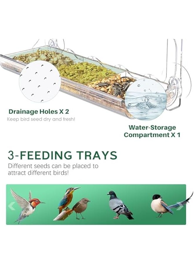 بيوينتي وحدة تغذية طيور شفافة تثبت على النافذة مع اكواب شفط قوية، منزل طيور شفاف لمشاهدة البرية في الهواء الطلق للحديقة والفناء ومشاهدة الاطفال المسنين من صن الي - Image 3