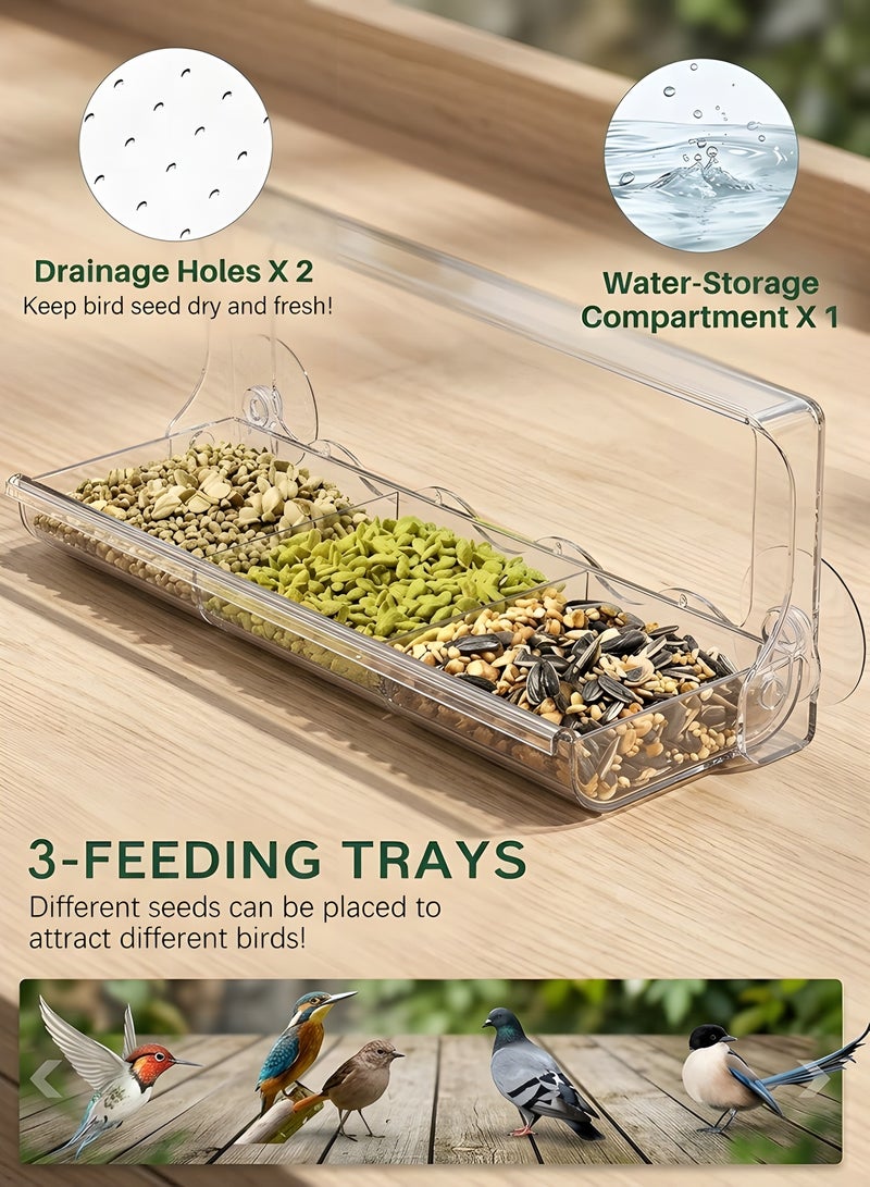 Beauenty Window Bird Feeder for Outdoors, Clear Bird Feeders Window Mounted with Strong Suction Cups, Transparent Birds House Outside Wild Watching for Garden, Yard, Elderly Kids Viewing - Image 3