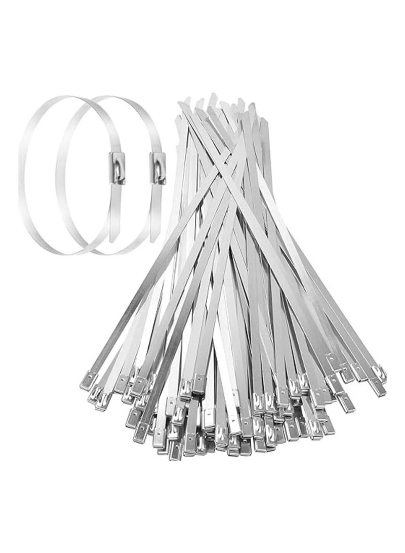 Stainless Steel Silver Cable Ties 100Pcs (4.6x200mm) - Image 1