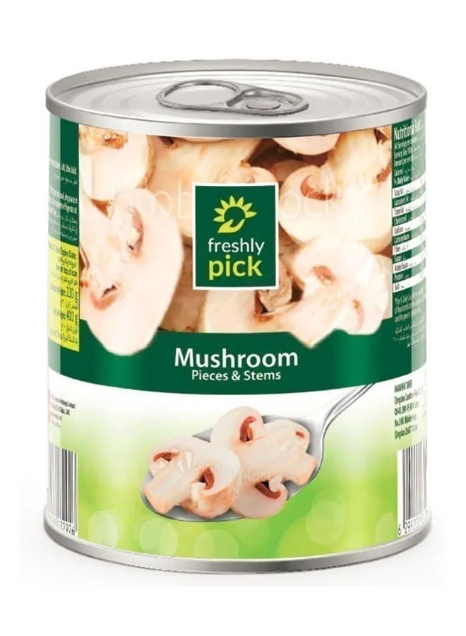 Mushroom Pieces & Stems, China