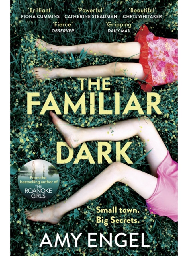 The Familiar Dark : The must-read, utterly gripping thriller you won't be able to put down 