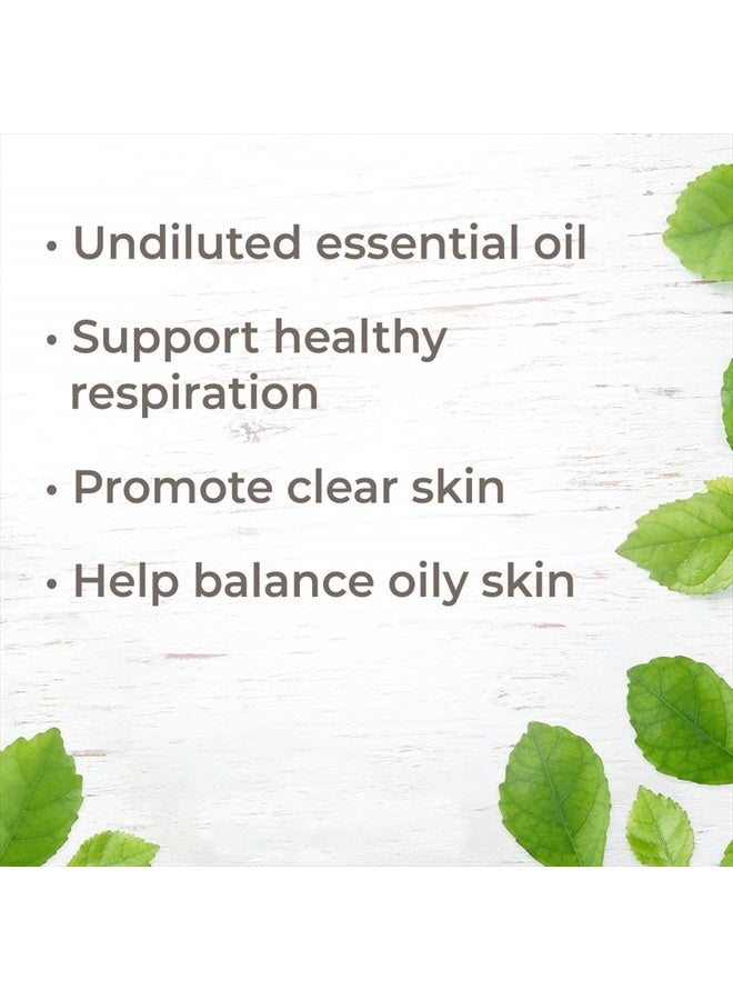 Plant Therapy زيت خشب الأرز الفيرجينى 10 مل (1/3 أونصة) 100% نقي، غير مخفف، درجة علاجية - Image 2