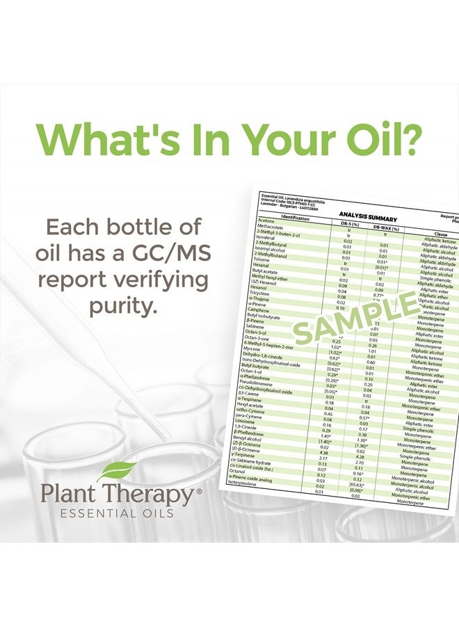 Plant Therapy زيت خشب الأرز الفيرجينى 10 مل (1/3 أونصة) 100% نقي، غير مخفف، درجة علاجية - Image 4