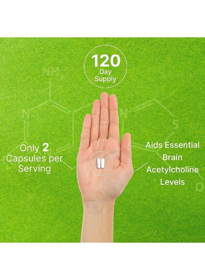 DEAL SUPPLEMENT Alpha GPC 600mg Per Serving, 240 Capsules – Bioavailable Choline Replenishment – Nootropic Brain Health Supplements for Memory and Focus – Non-GMO, Gluten Free - Image 5