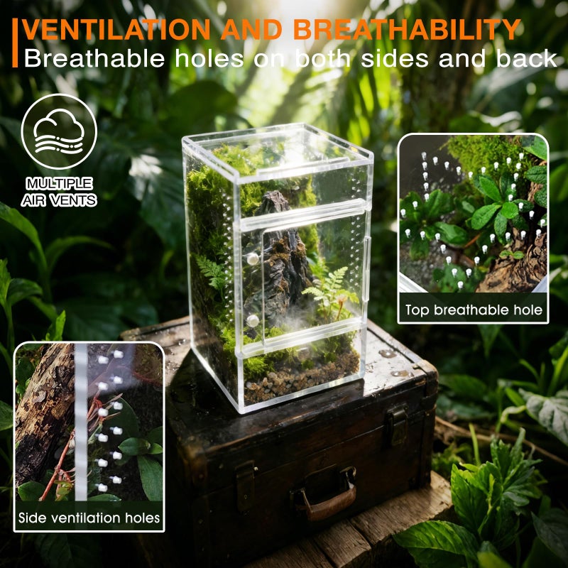 Adoture Jumping Spider Enclosure, Small Acrylic Spider Terrarium, Tarantula Spider Box, Magnetic Front & Top Opening, Bug Habitat for Jumping Spiders, Tarantulas, Praying Mantis, Snails - Image 5