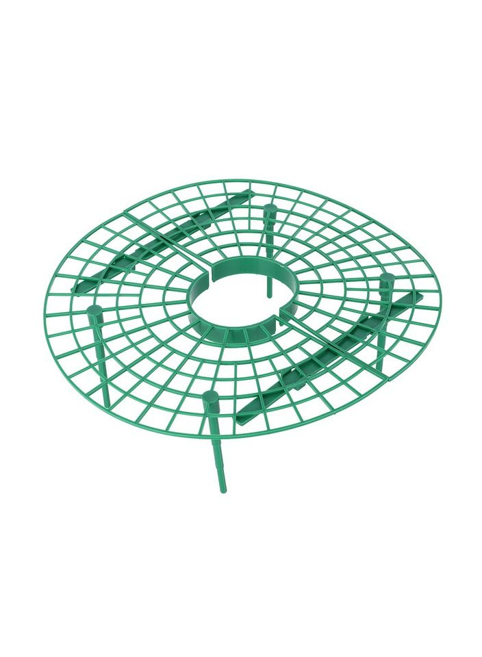 حامل إطار الفراولة قطعة واحدة لرف الخضروات ودعم تسلق النباتات وأدوات البستنة - Image 2