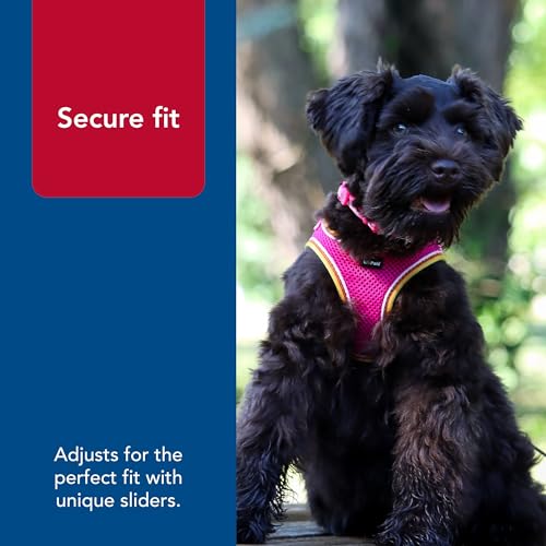 Coastal - Li'l Pals - Comfort Mesh Dog Harness, Blue Lagoon, 3/8" x 8"-10" - Image 5