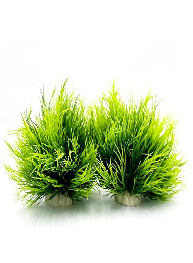 Smoothedo-Pets Aquarium Plants Fish Tank Decorations 2pcs Small Size/3.5inch Ornament Plastic Artificial Plant Goldfish Waterscape Fish Hides Mini Grass Set (2pcs/Green) - Image 5