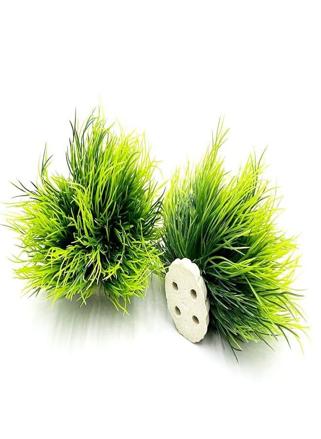 Smoothedo-Pets Aquarium Plants Fish Tank Decorations 2pcs Small Size/3.5inch Ornament Plastic Artificial Plant Goldfish Waterscape Fish Hides Mini Grass Set (2pcs/Green) - Image 4