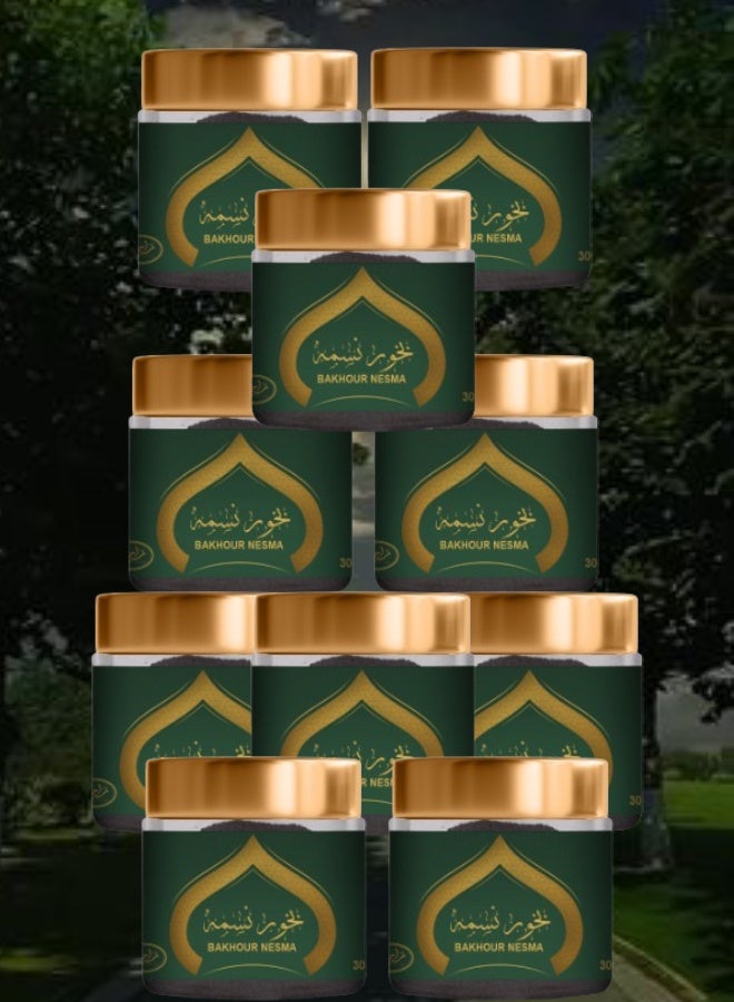 MARAHIB 10 Pieces Bakhour Nesma 30g - Image 1