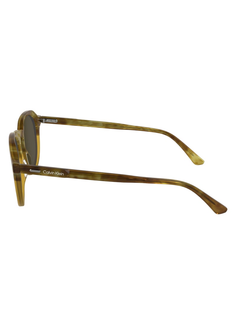 FULL RIM ACETATE ACETATE CALVIN KLEIN SUN CK24538S 5120 (255) HONEY HAVANA/HONEY