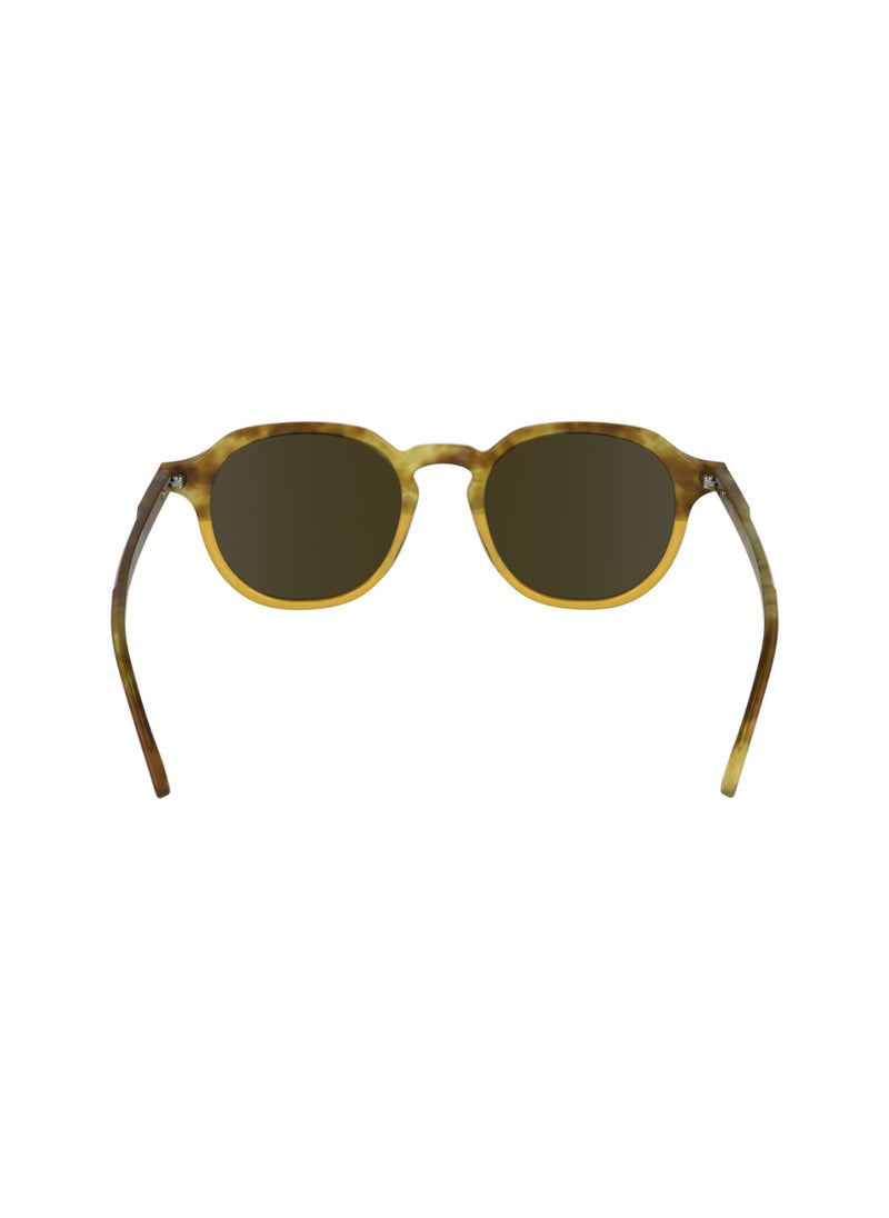 FULL RIM ACETATE ACETATE CALVIN KLEIN SUN CK24538S 5120 (255) HONEY HAVANA/HONEY