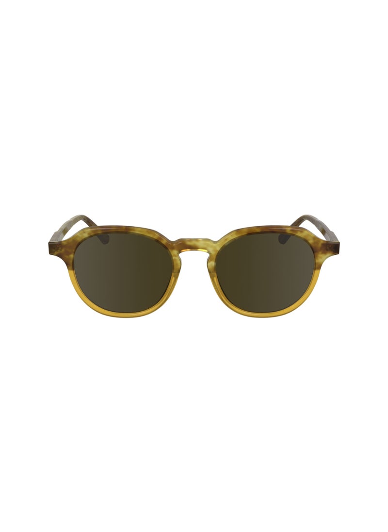FULL RIM ACETATE ACETATE CALVIN KLEIN SUN CK24538S 5120 (255) HONEY HAVANA/HONEY
